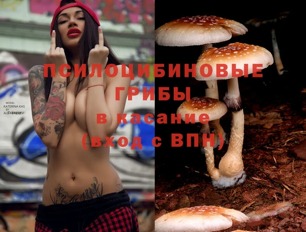прущая мука Пестово