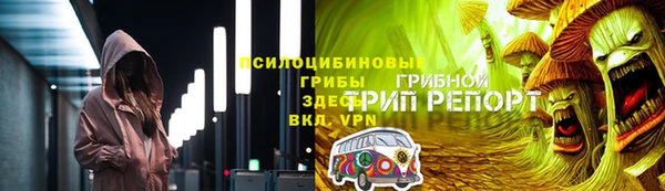 PSILOCYBIN Баксан