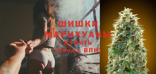 PSILOCYBIN Баксан