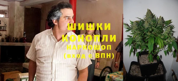 PSILOCYBIN Баксан